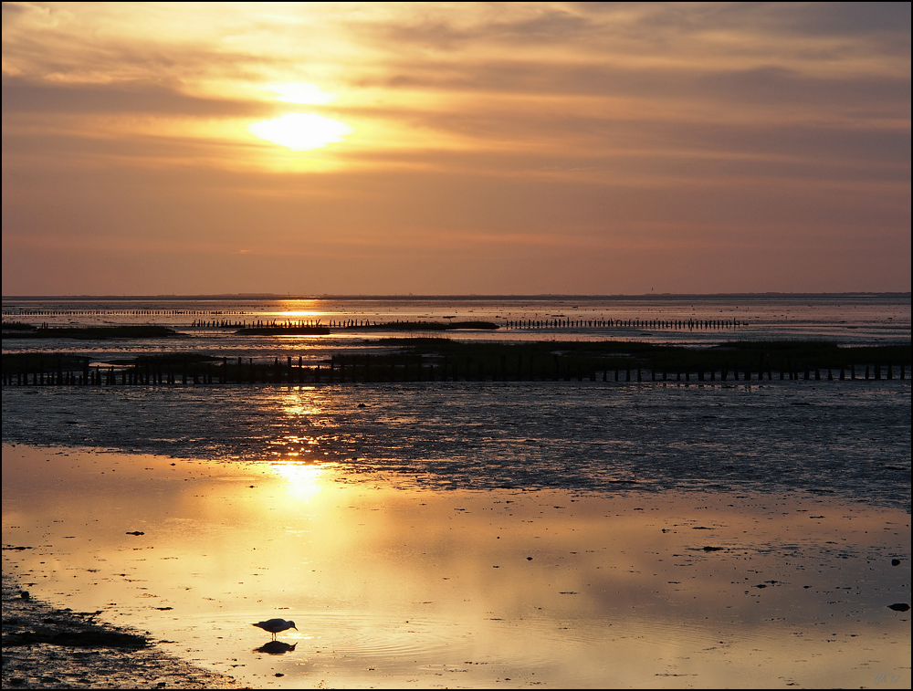 Wattenmeer