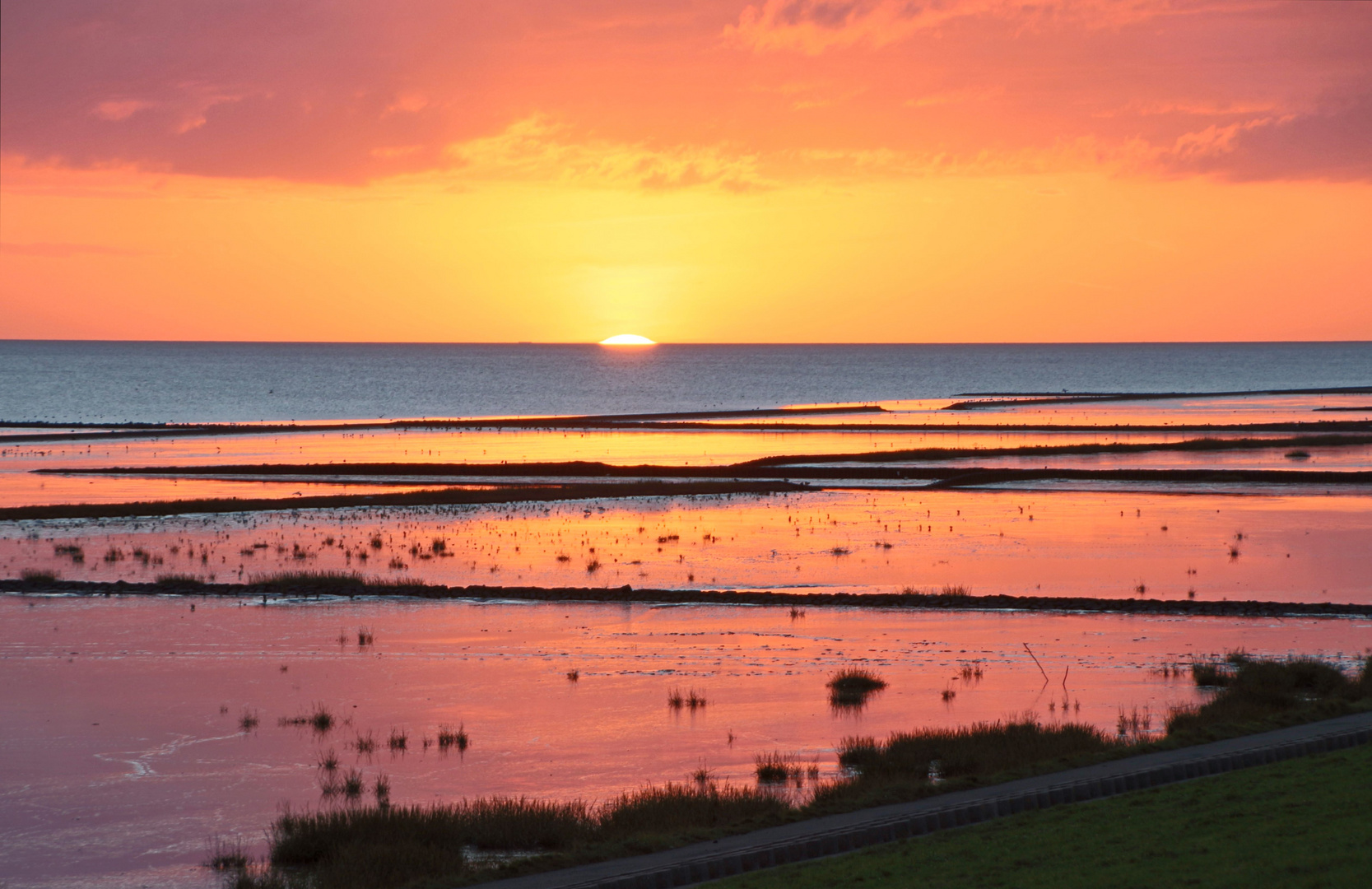 Wattenmeer