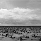 Wattenmeer