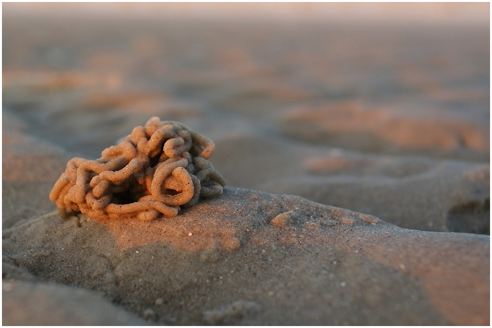 Wattenmeer