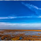 Wattenmeer