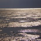 wattenmeer