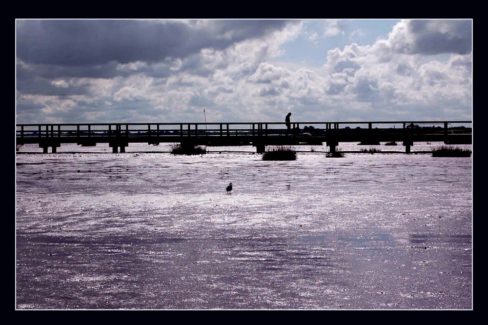 Wattenmeer