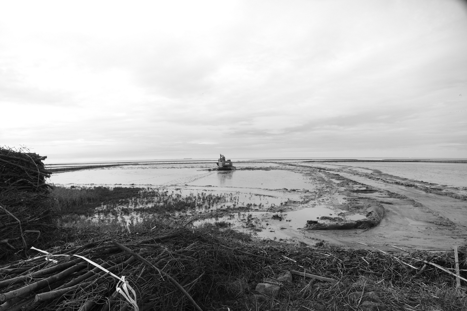 Wattenmeer