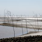 Wattenmeer