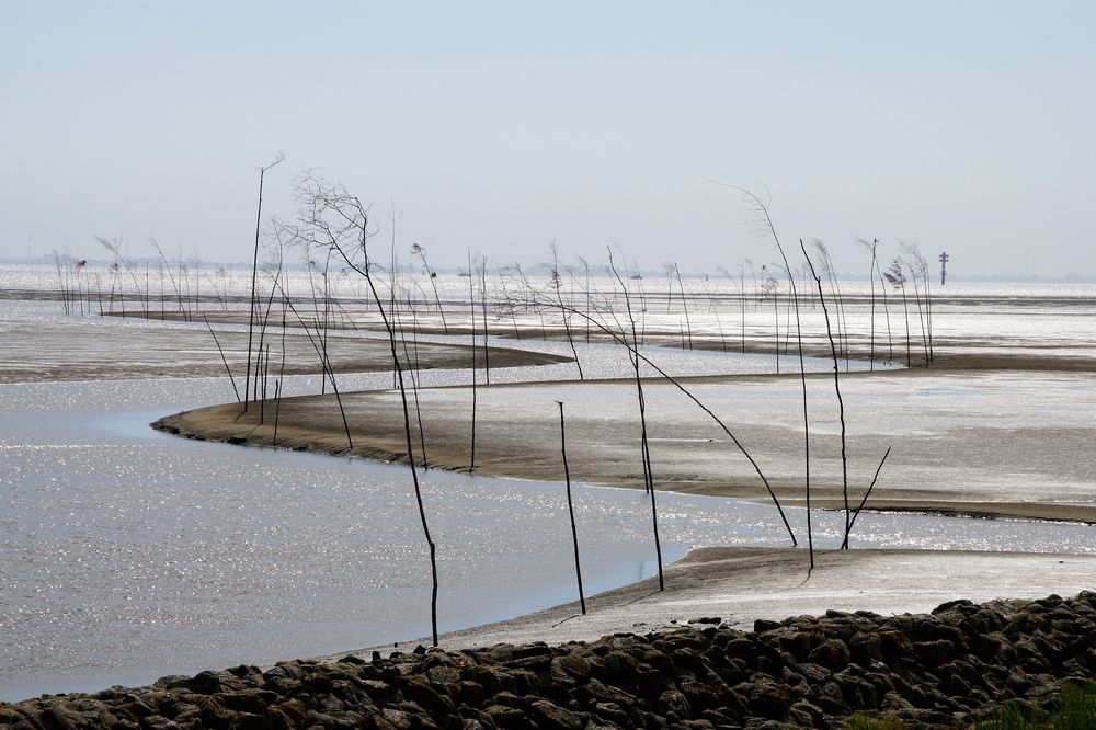 Wattenmeer