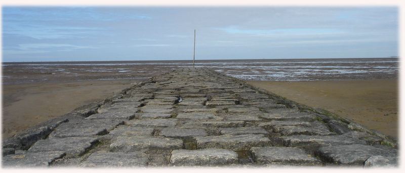 Wattenmeer