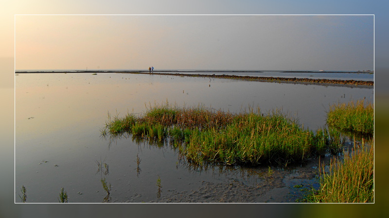 Wattenmeer