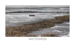 Wattenmeer