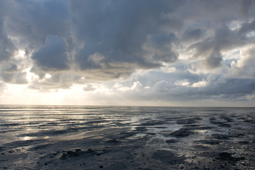 Wattenmeer