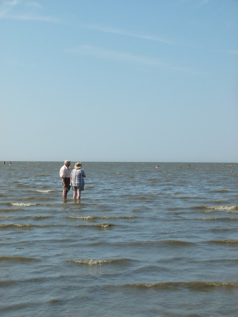 Wattenmeer