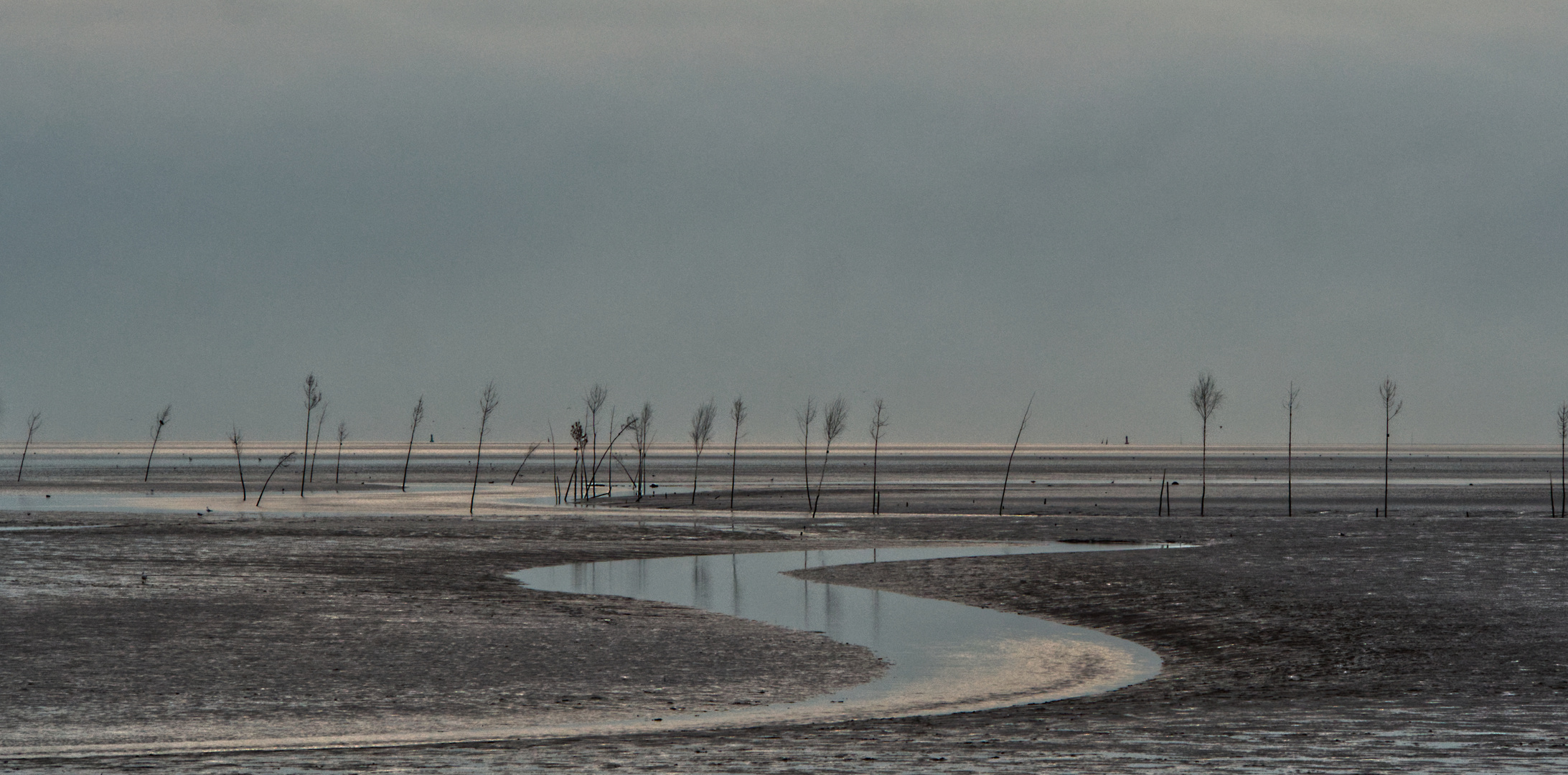 WattenMeer