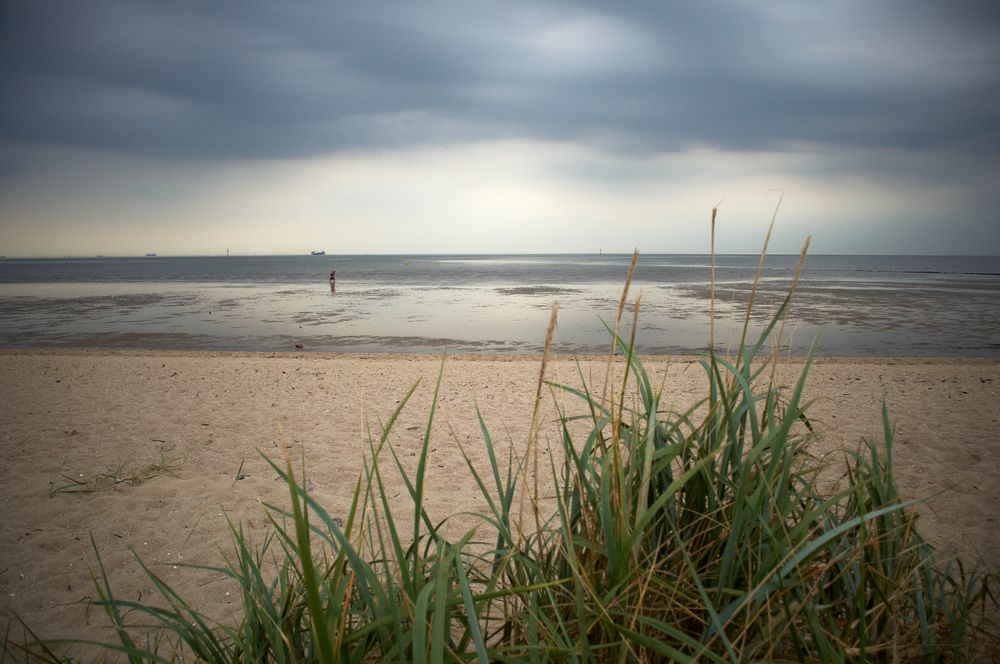 Wattenmeer