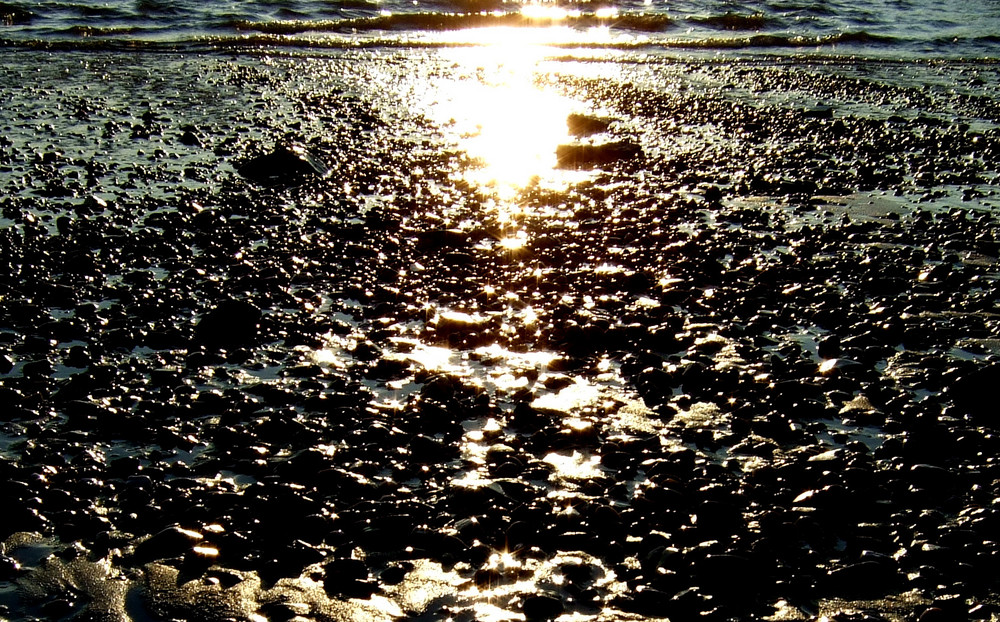 Wattenmeer am Niederrhein