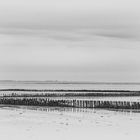 Wattenmeer