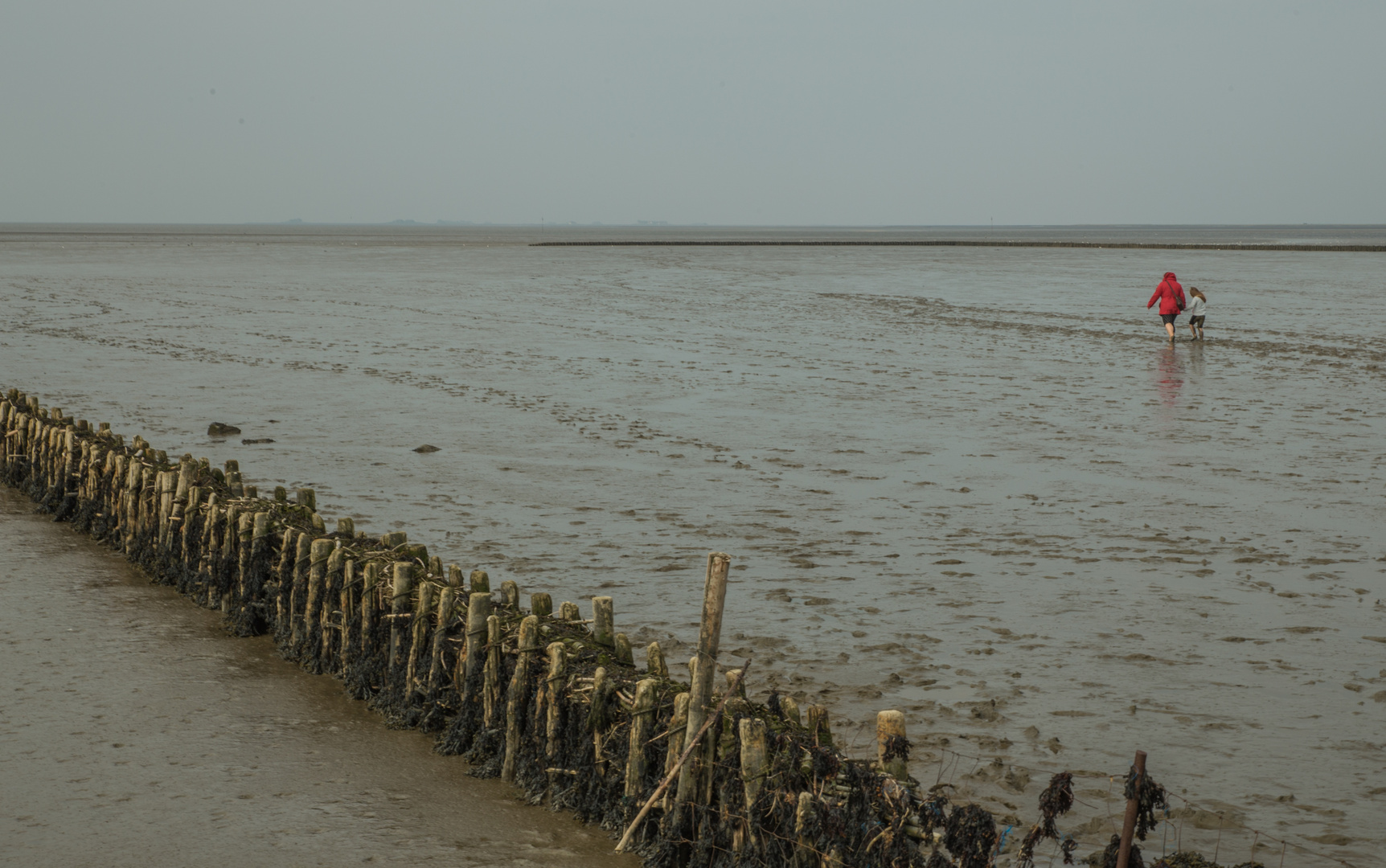 Wattenmeer