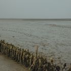 Wattenmeer