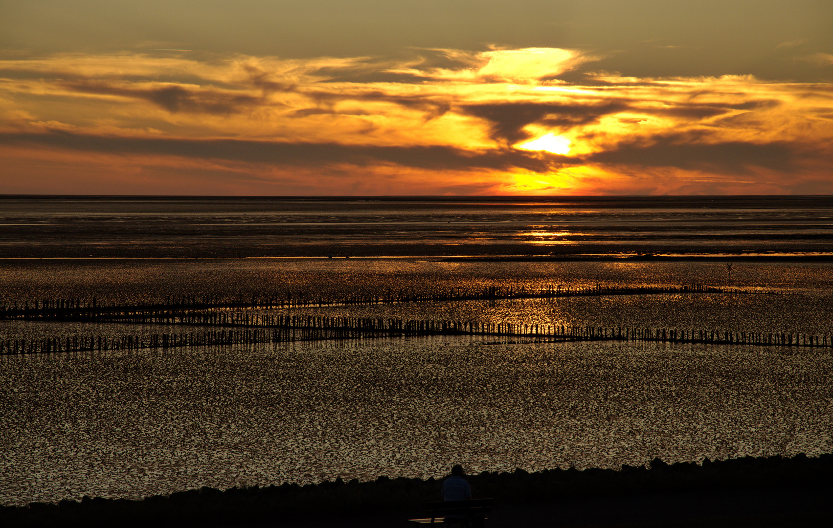 Wattenmeer