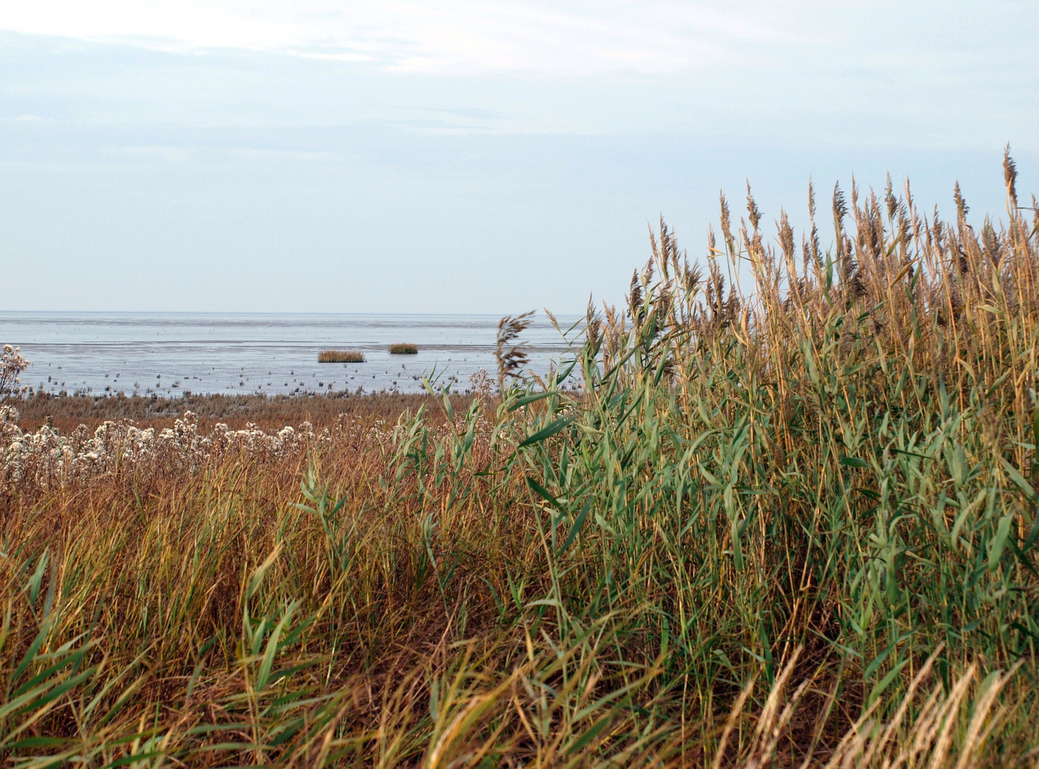 Wattenmeer