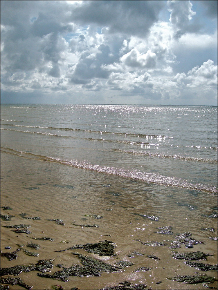 Wattenmeer