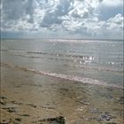 Wattenmeer