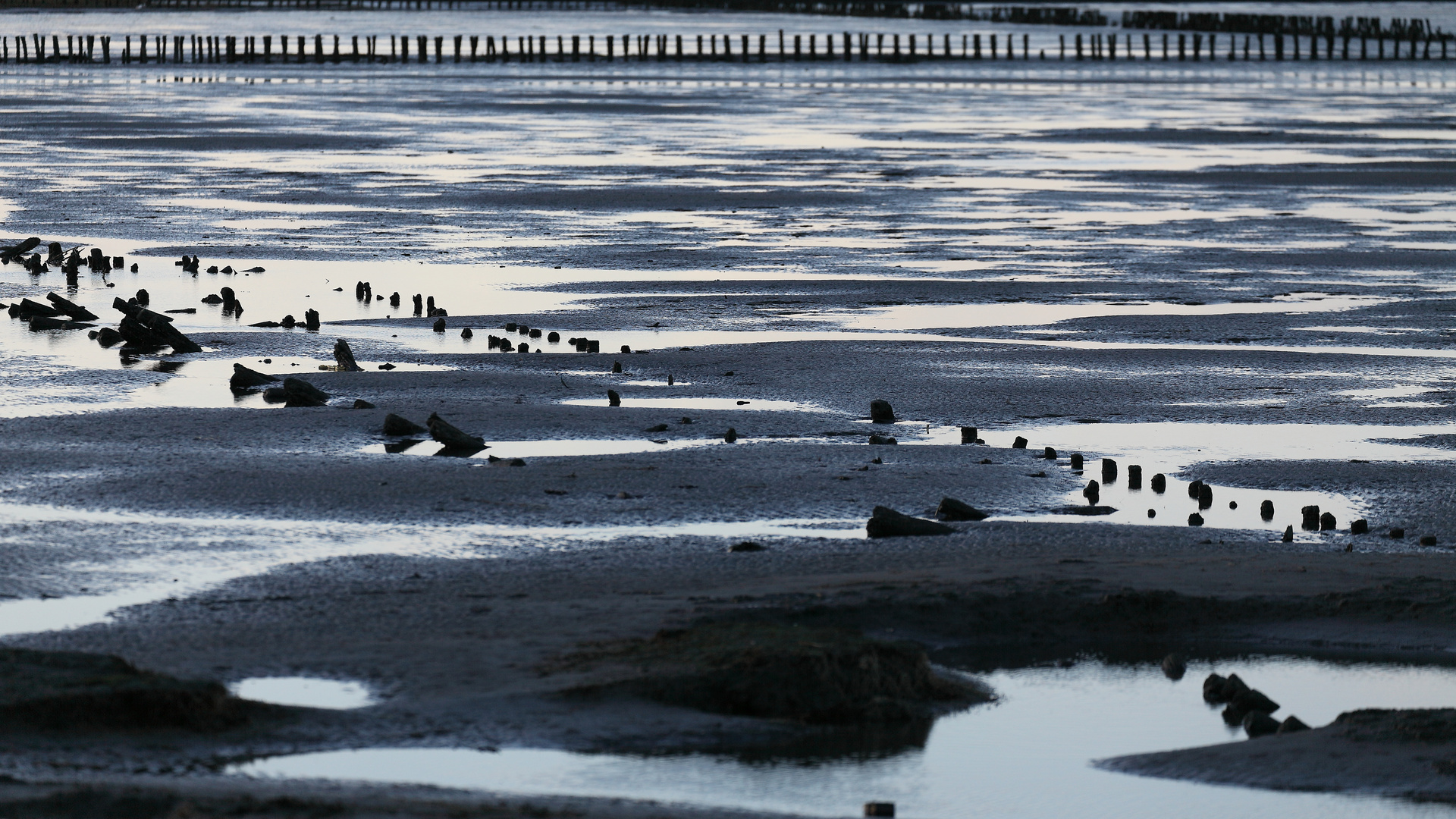 *** Wattenmeer ***