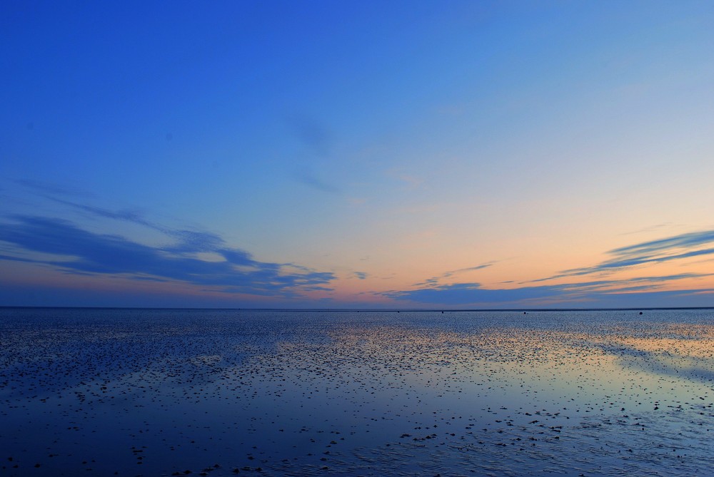 Wattenmeer bei Büsum (Nordsee) III