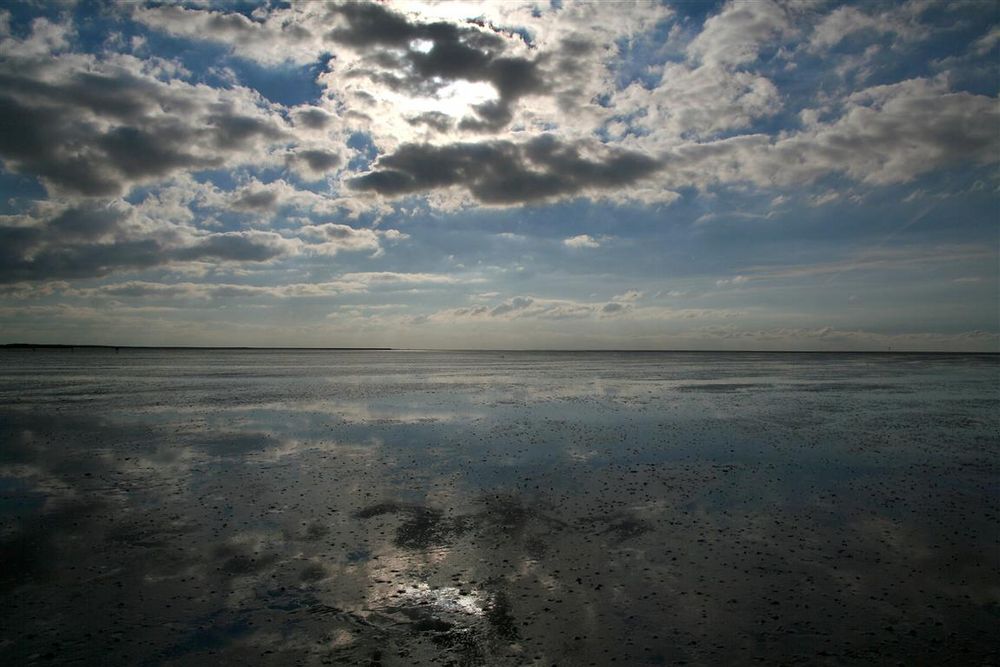 Wattenmeer bei Cuxhaven