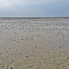 Wattenmeer bei Ebbe 