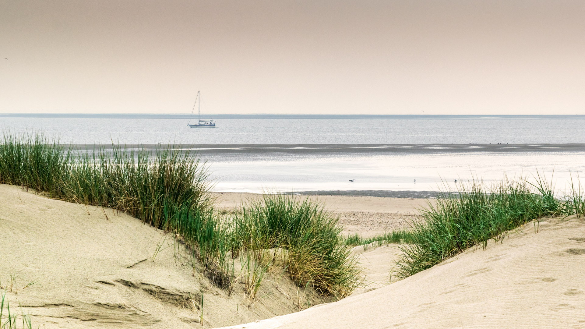 Wattenmeer bei Flinthörn (Langeoog)