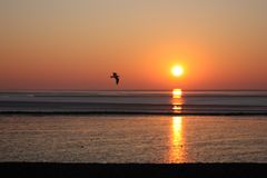 Wattenmeer bei Norden-Norddeich (pt. 3)