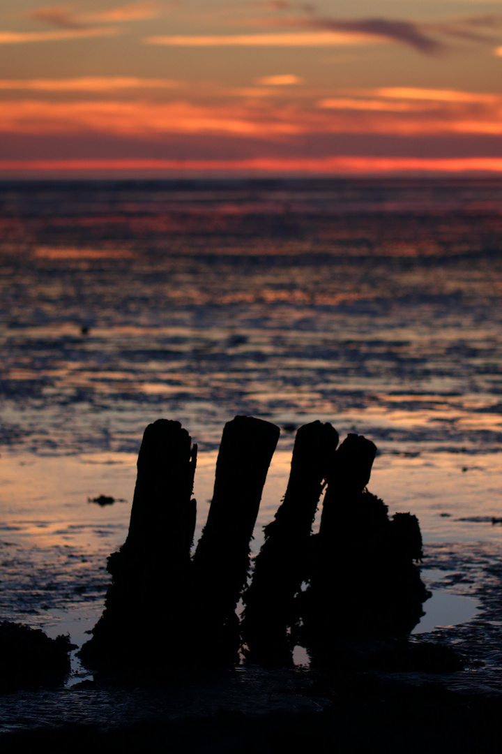 Wattenmeer bei Sonnenuntergang