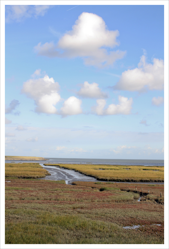 Wattenmeer bei Terschelling