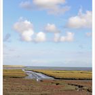 Wattenmeer bei Terschelling