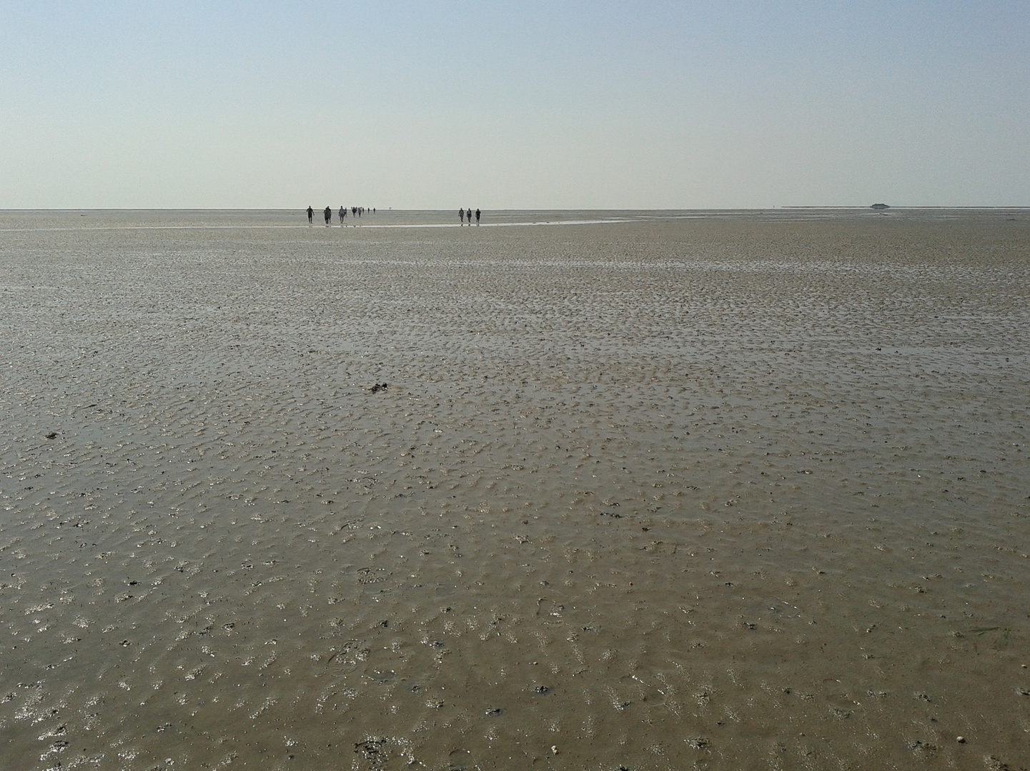 Wattenmeer