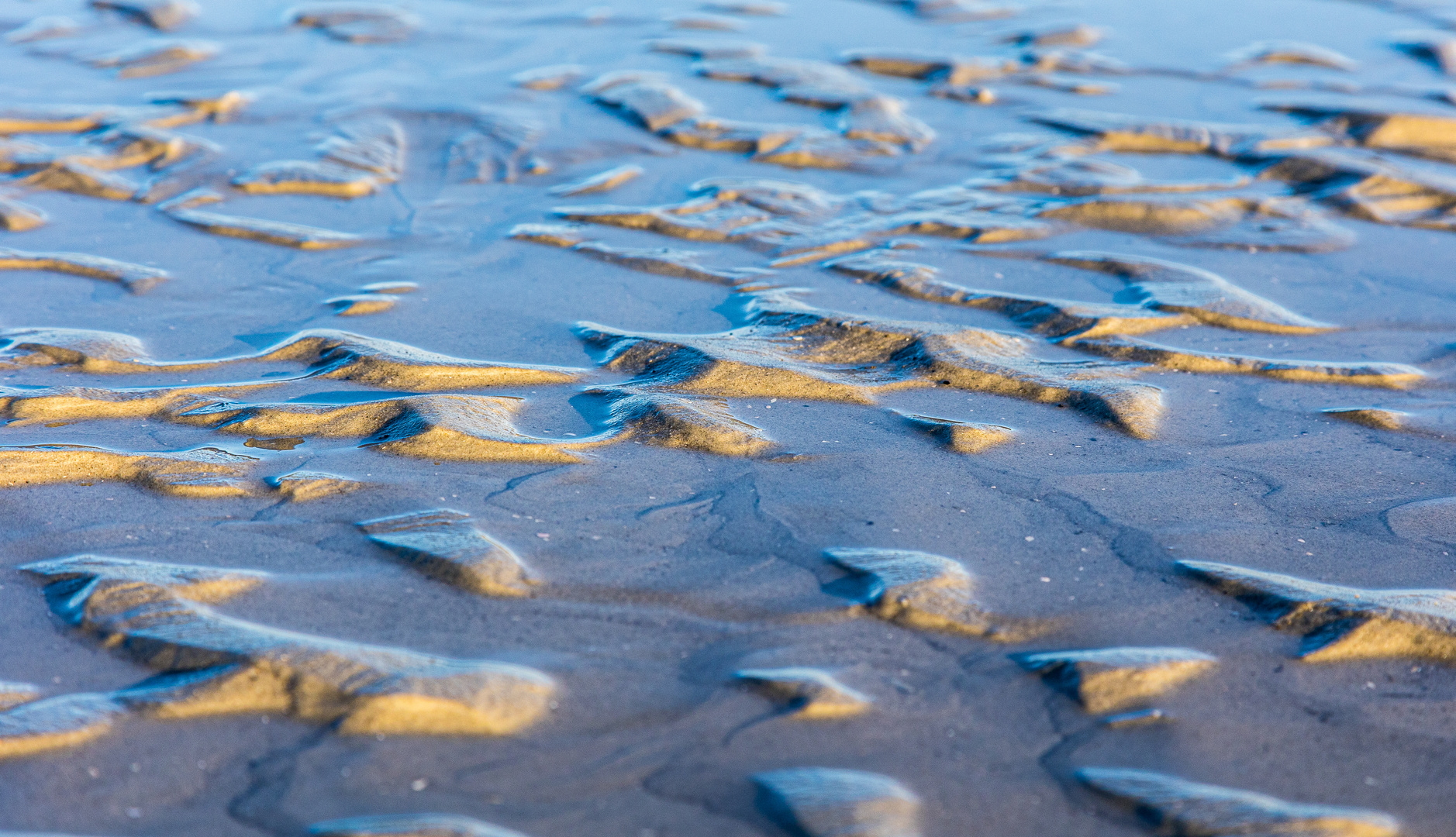 Wattenmeer Blaue Stunde