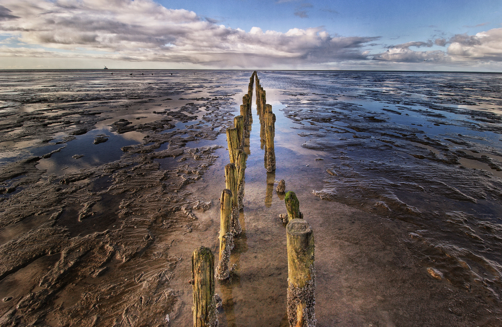 Wattenmeer 