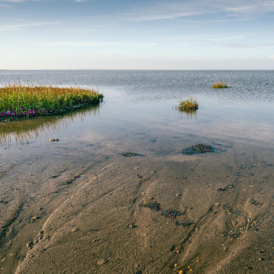 Wattenmeer