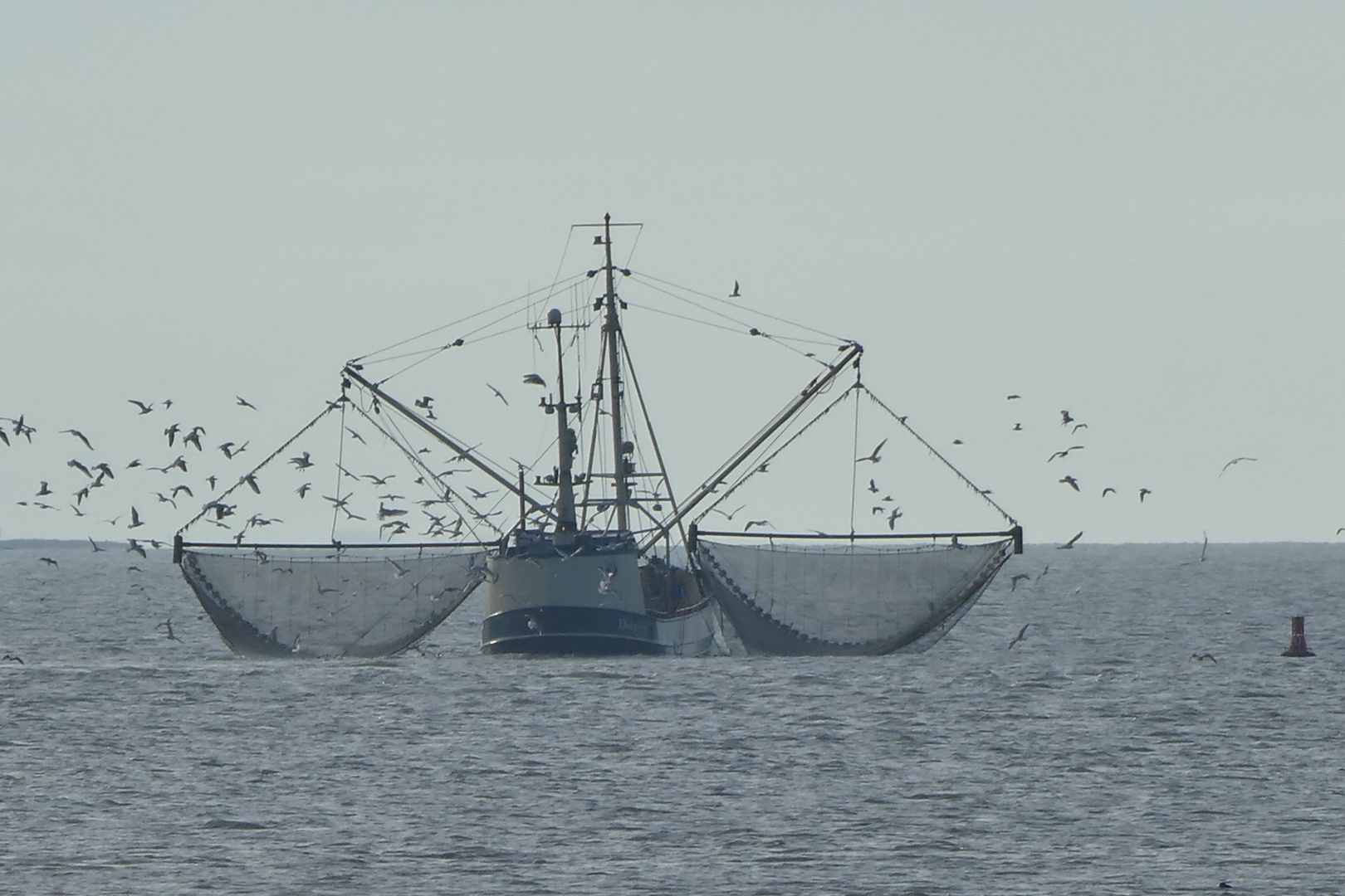 Wattenmeer