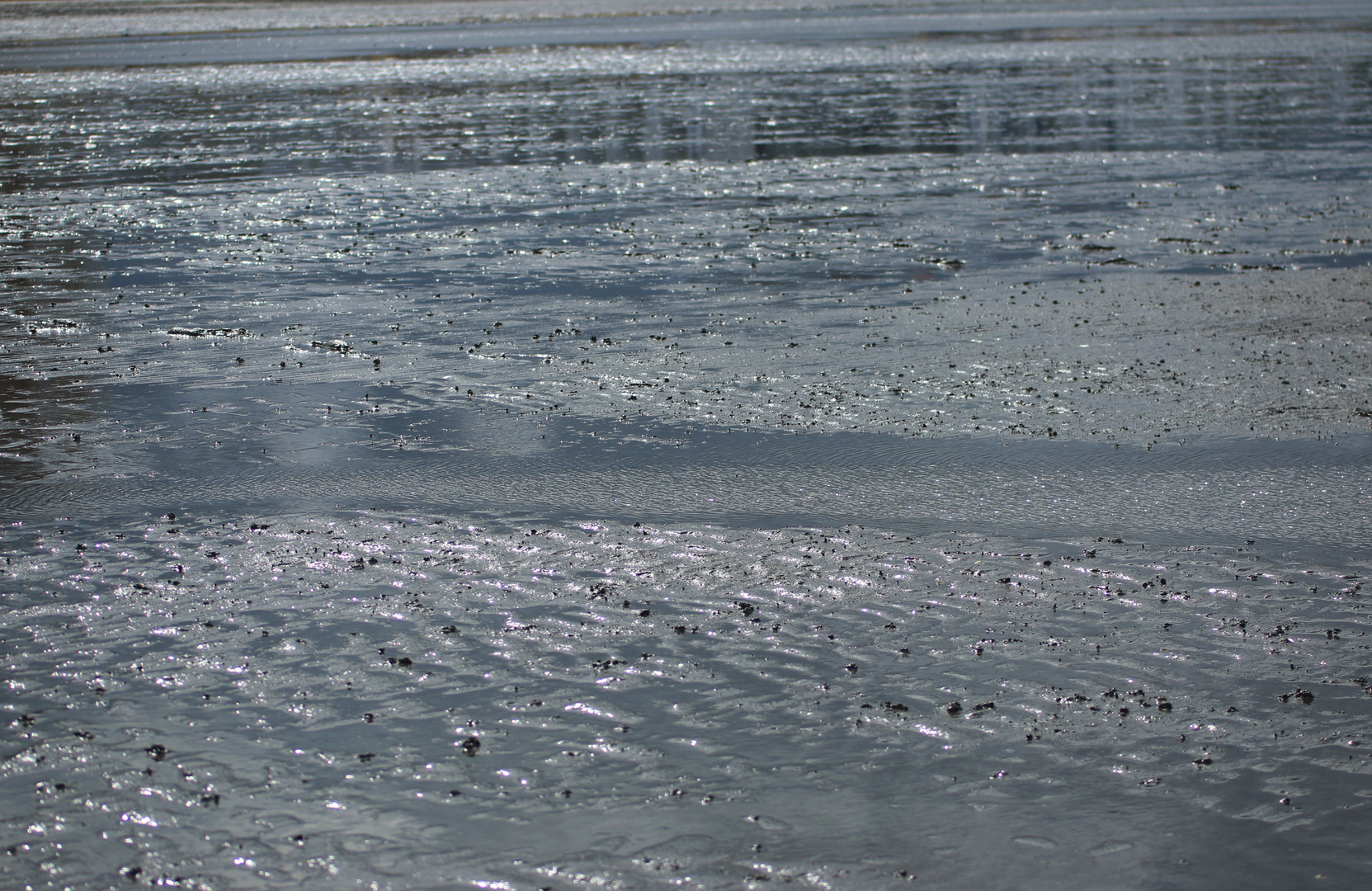 Wattenmeer Cuxhaven