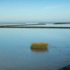 Wattenmeer