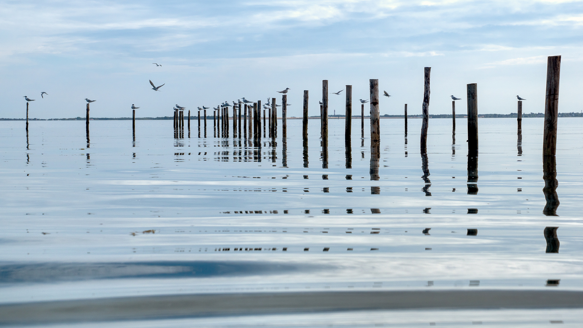 Wattenmeer