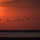 Wattenmeer...