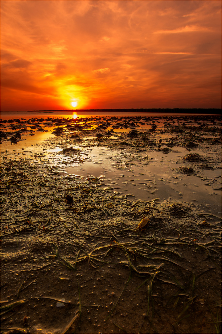 Wattenmeer