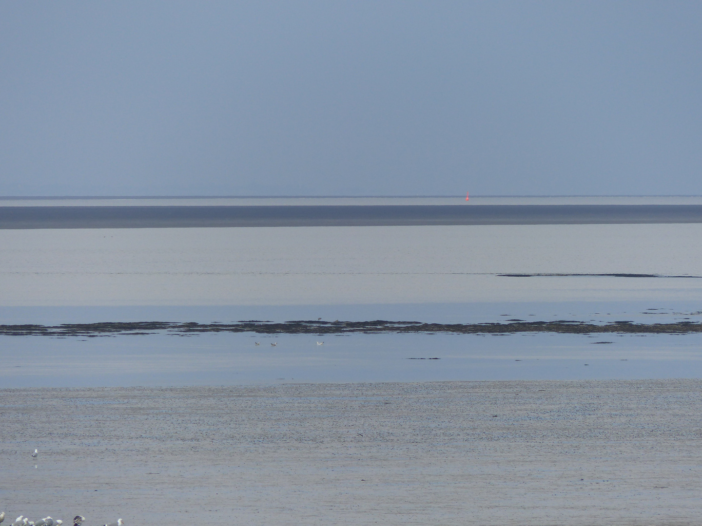 Wattenmeer Dornumersiel