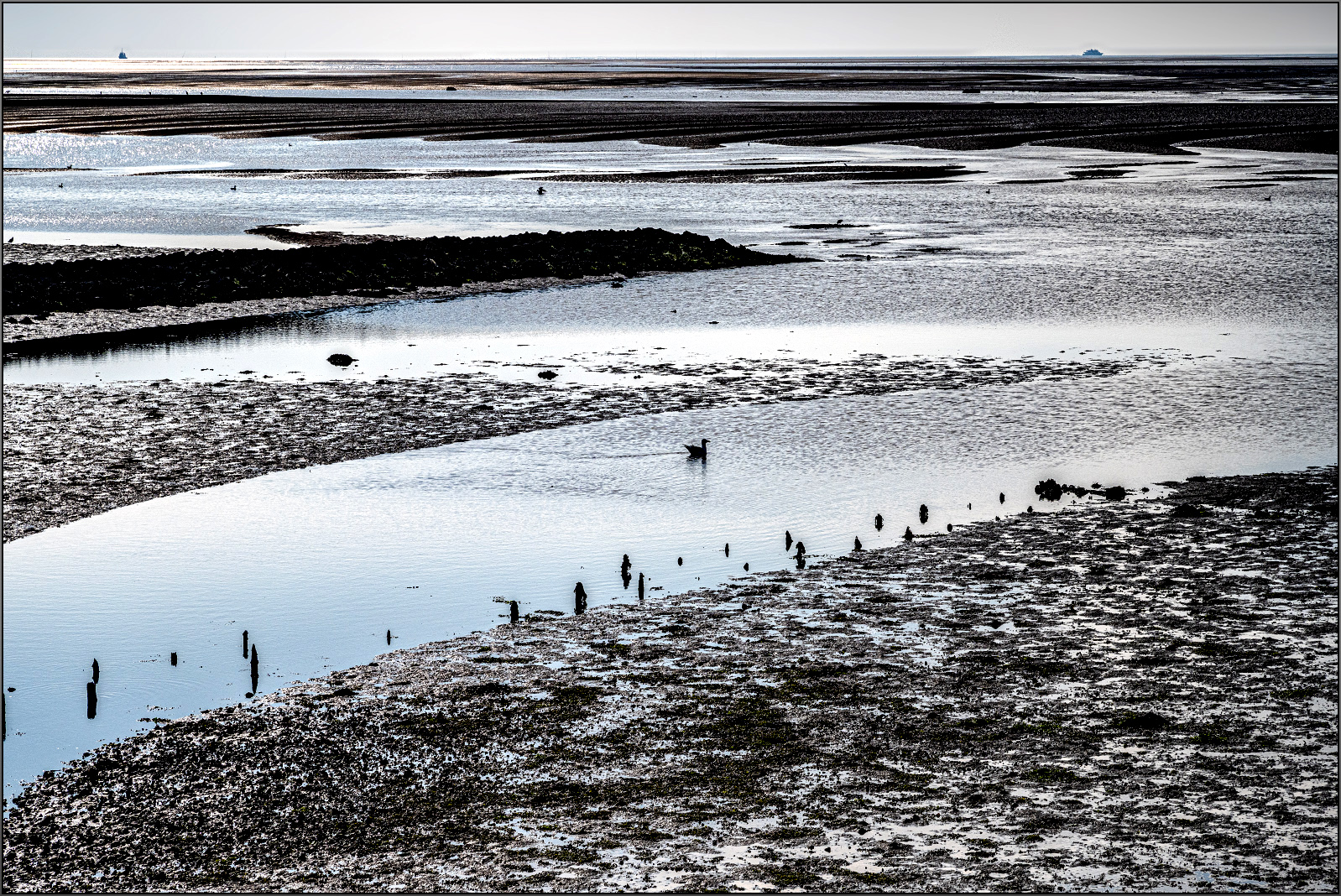 Wattenmeer