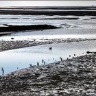 Wattenmeer