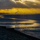 Wattenmeer