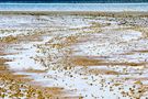 Wattenmeer von herm040 