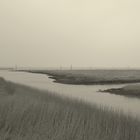 Wattenmeer